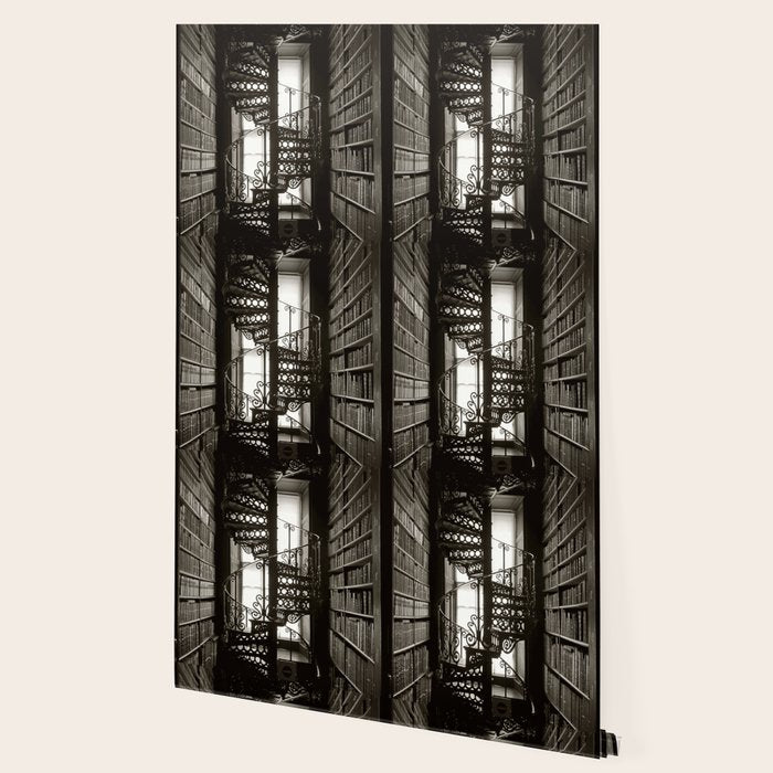 Trinity College, Dublin, Ireland, iron spiral stairs in Library College Long Room black and white photograph Wallpaper Gallery Image 2