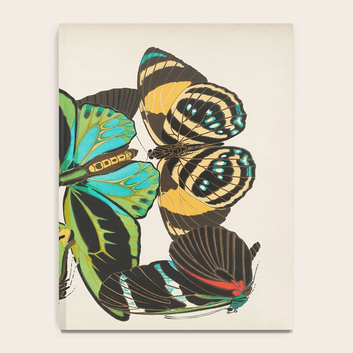 Vintage Butterfly Illustration EA Seguy Papillon Notebook Gallery Image 4