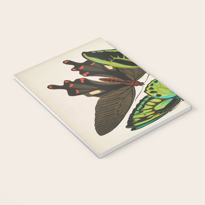 Vintage Butterfly Illustration EA Seguy Papillon Notebook Gallery Image 3