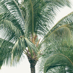 Lush Palm Trees Coffee Mug Gallery Image 2