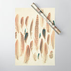 Found Feathers Wrapping Paper Gallery Image 1