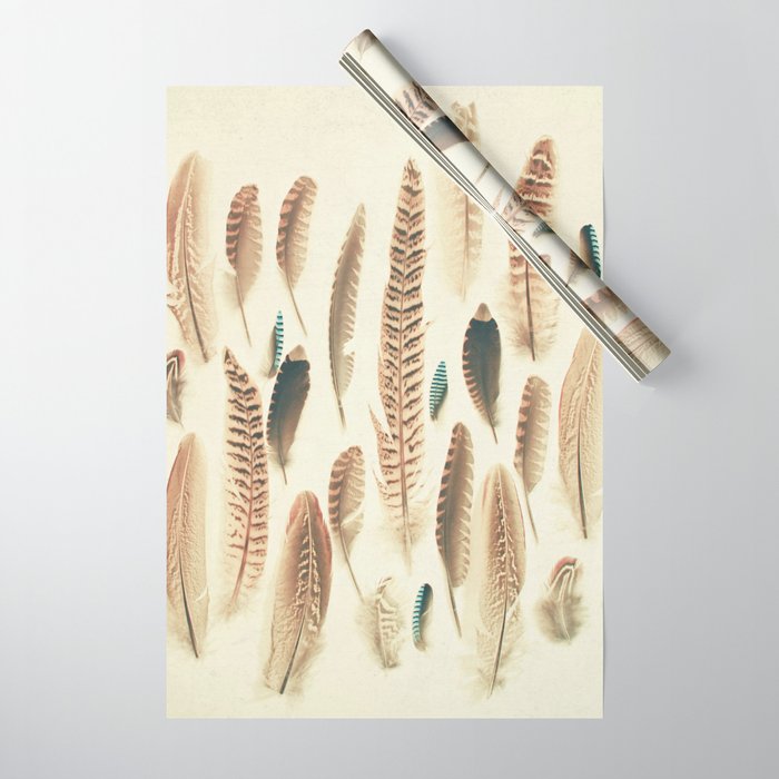 Found Feathers Wrapping Paper Gallery Image 1