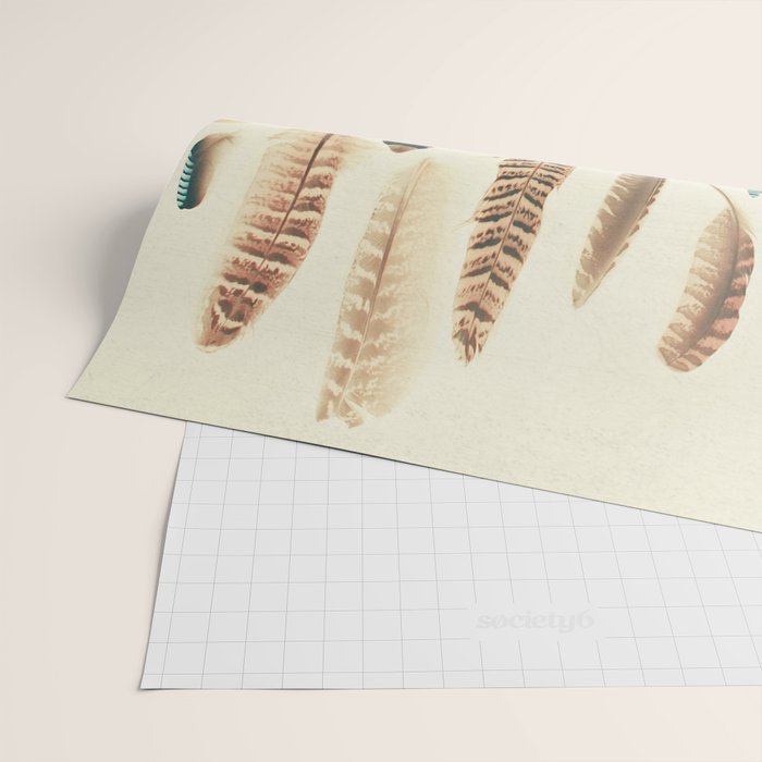 Found Feathers Wrapping Paper Gallery Image 2