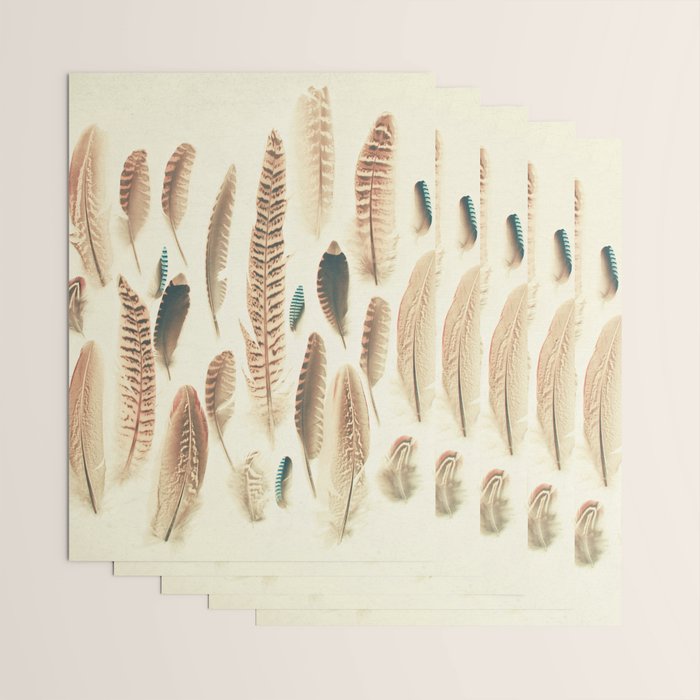 Found Feathers Wrapping Paper Gallery Image 3