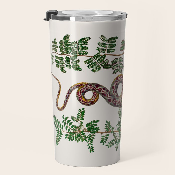 Mimosa Snake Seba Albertus Travel Mug Gallery Image 3