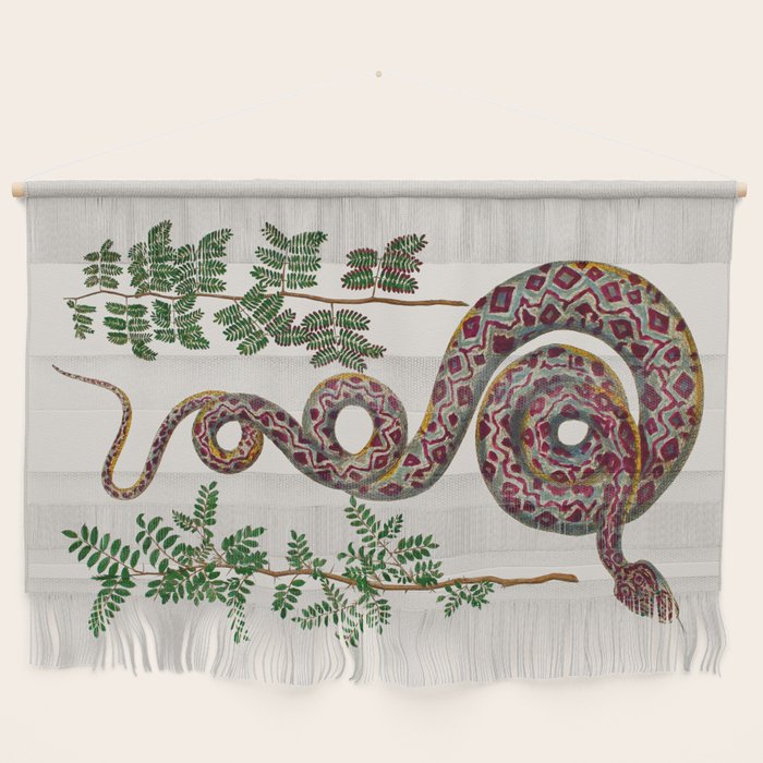 Mimosa Snake Seba Albertus Wall Hanging Gallery Image 1