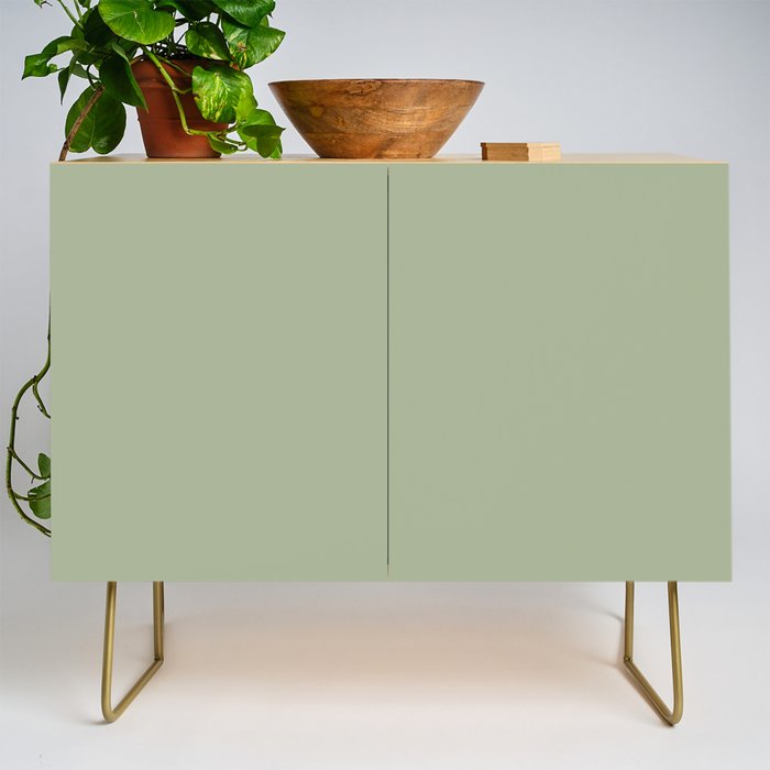 The Sage Green Solid  Credenza Gallery Image 1