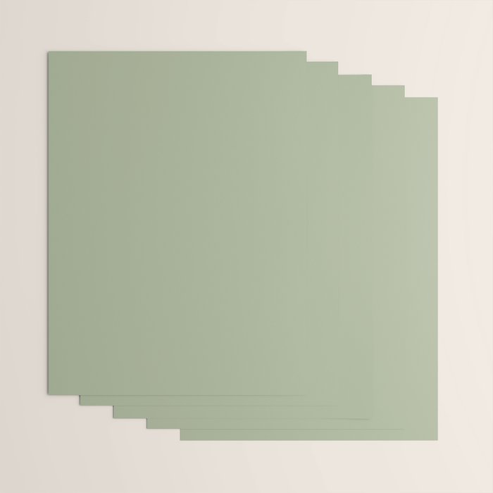 The Sage Green Solid  Wrapping Paper Gallery Image 3