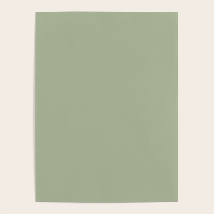 The Sage Green Solid  Poster Gallery Image 4