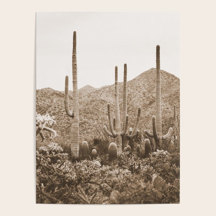 Bohemian Southwest Poster Gallery Image 4