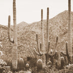 Bohemian Southwest Coffee Mug Gallery Image 2