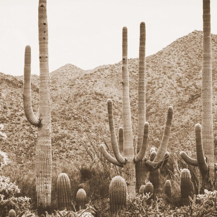 Bohemian Southwest Coffee Mug Gallery Image 2
