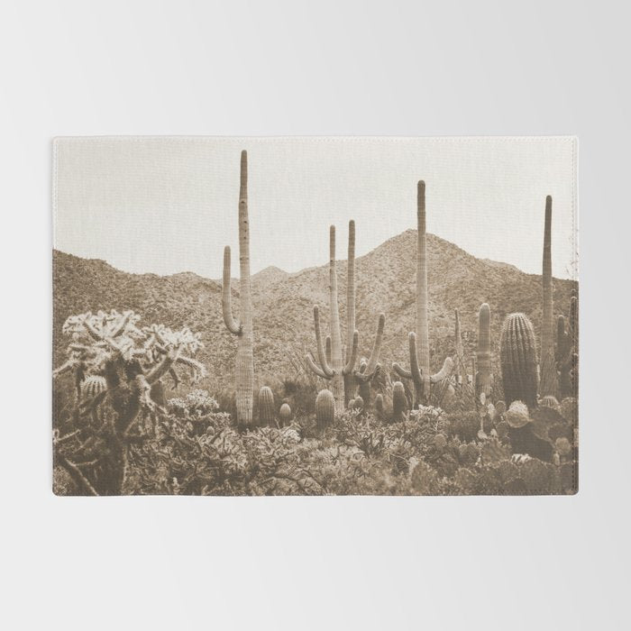Bohemian Southwest Rug Gallery Image 2