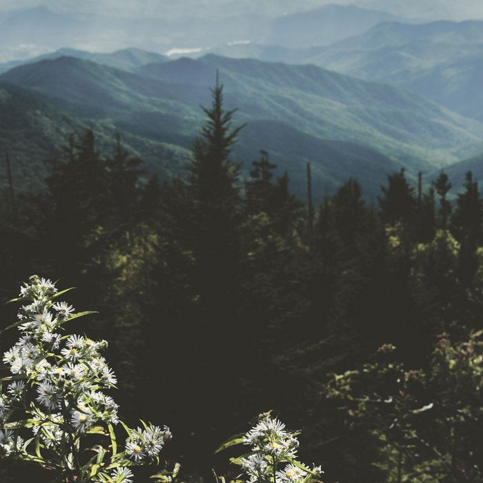 Smoky Mountains - Nature Photography Coffee Mug Gallery Image 2