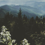 Smoky Mountains - Nature Photography Coffee Mug Gallery Image 2