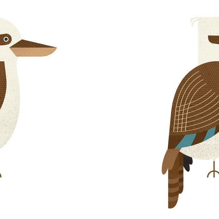 Whimsy Laughing Kookaburra Coffee Mug Gallery Image 2