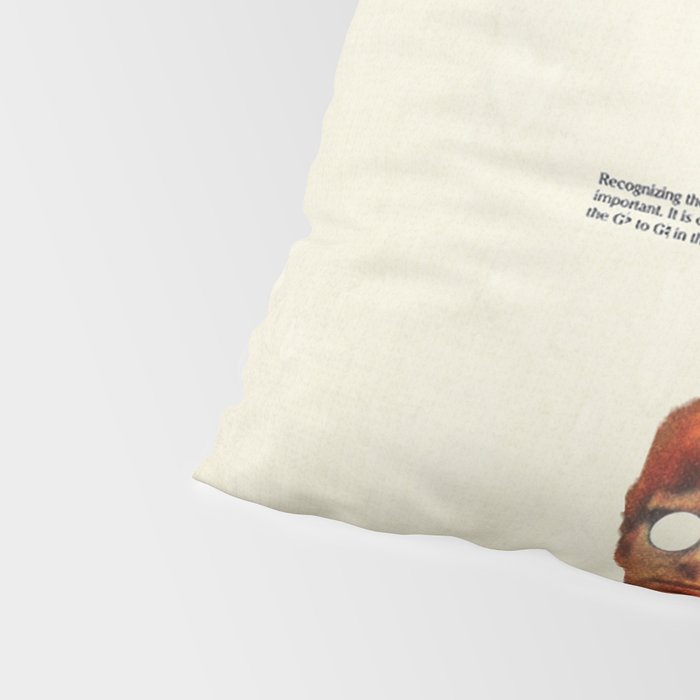 Bright Posture Pillow Sham Gallery Image 4