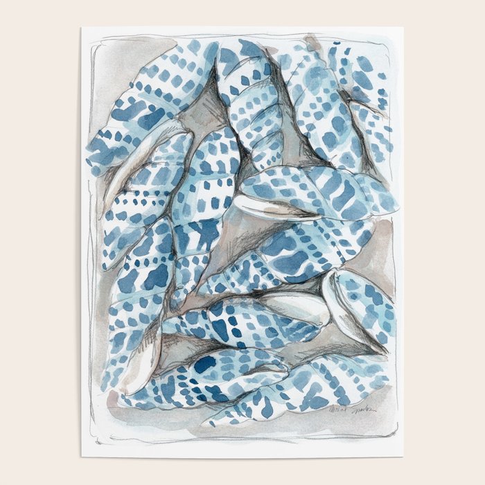 Blue Dot Shells Poster Gallery Image 4