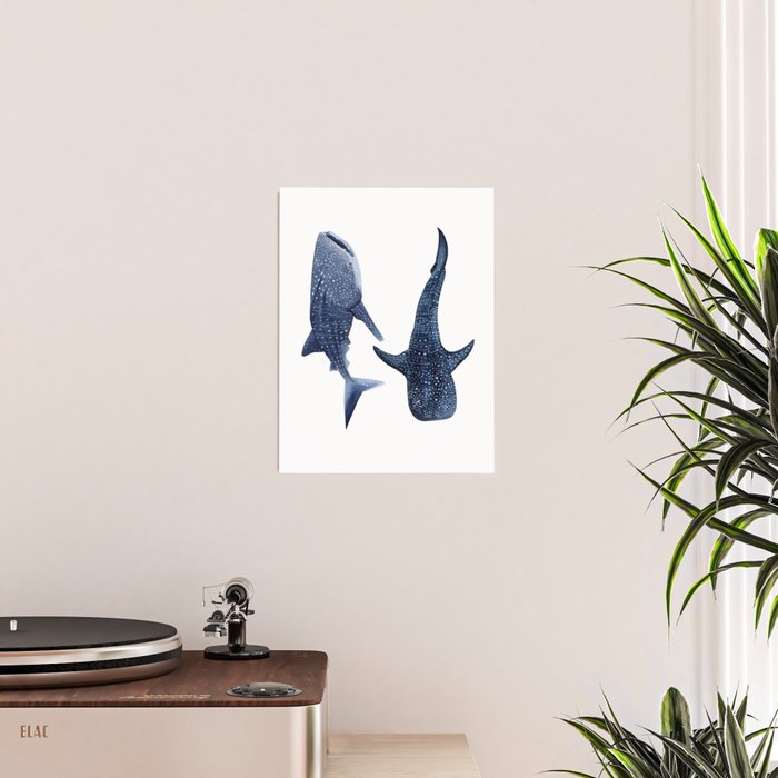 TWO WHALE SHARK Poster Gallery Image 2