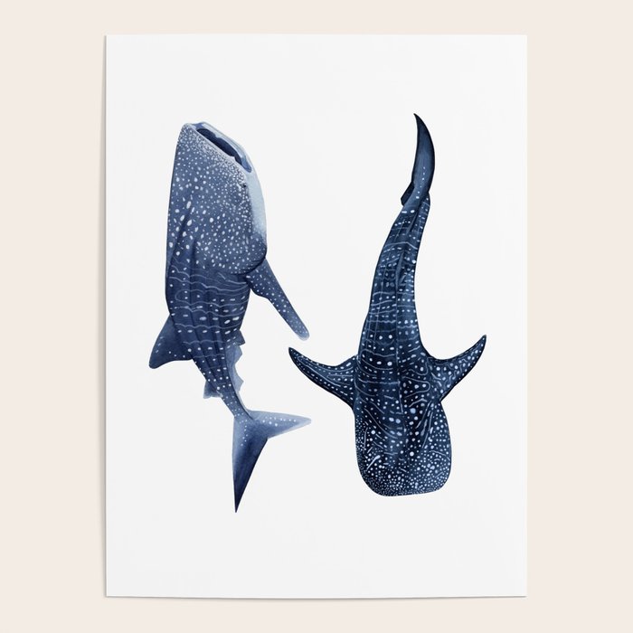 TWO WHALE SHARK Poster Gallery Image 1
