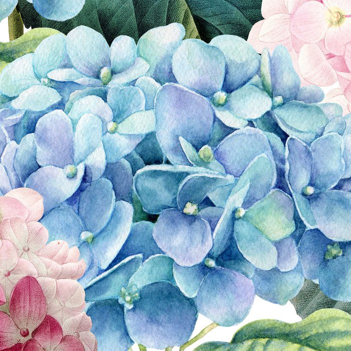 Pink Blue Hydrangea Coffee Mug Gallery Image 2
