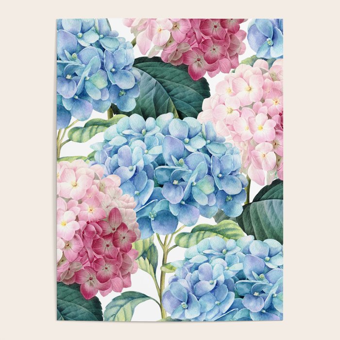 Pink Blue Hydrangea Poster Gallery Image 4