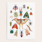 Beetles of the World Poster Gallery Image 4