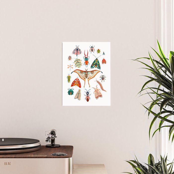 Beetles of the World Poster Gallery Image 2
