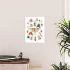 Beetles of the World Poster Gallery Image 2