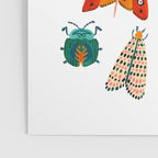 Beetles of the World Poster Gallery Image 3