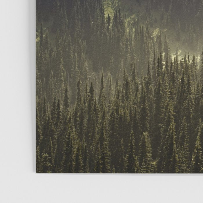 Epic Forest Mountain Adventure - Mount Rainier National Park Poster Gallery Image 3