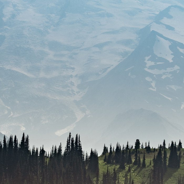 Epic Forest Mountain Adventure - Mount Rainier National Park Coffee Mug Gallery Image 2
