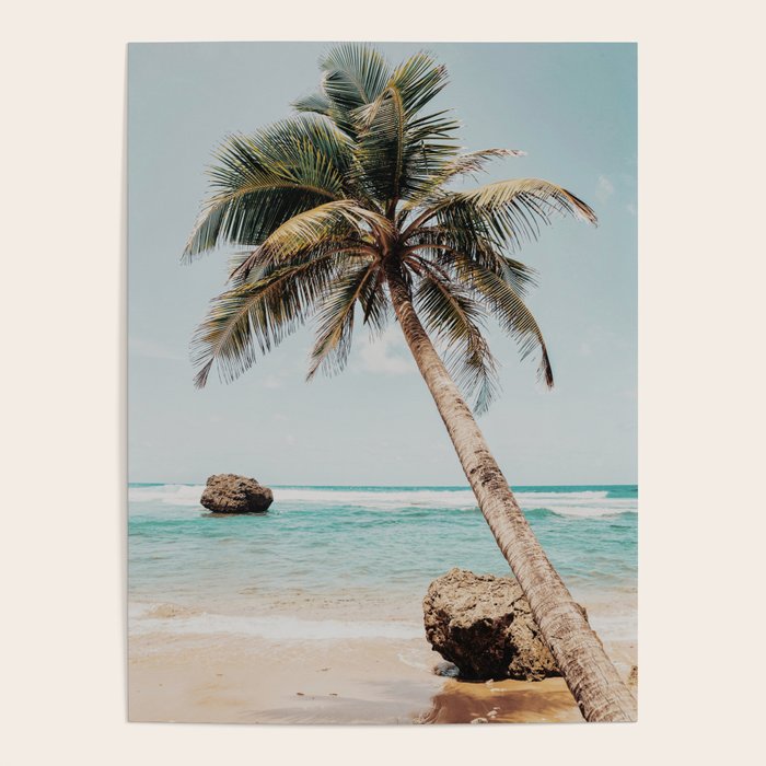 a palm tree ii Poster Gallery Image 4