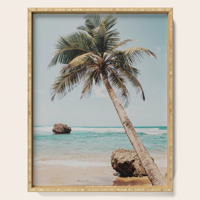 a palm tree ii Serving Tray Gallery Image 1