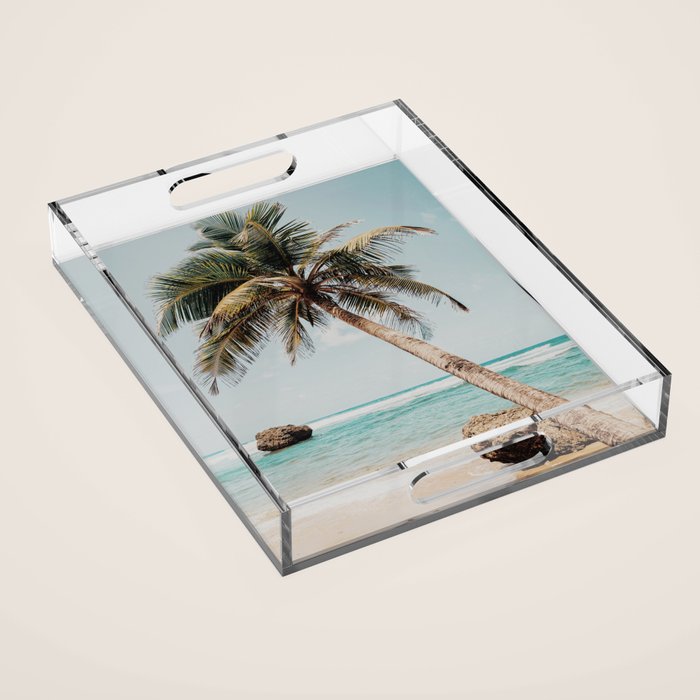 a palm tree ii Acrylic Tray Gallery Image 1