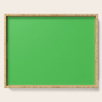 Solid Bright Kelly Green Color Serving Tray Gallery Image 1