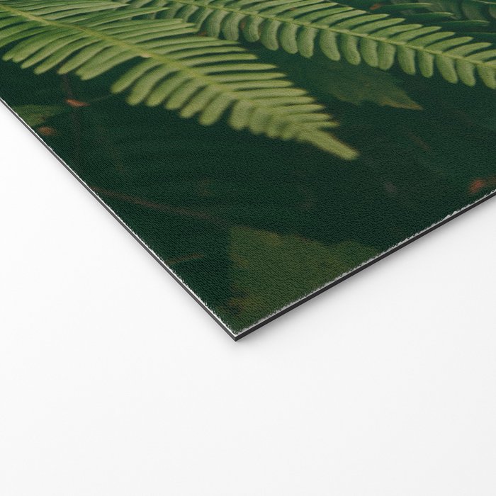 Ferns X Welcome Mat Gallery Image 2