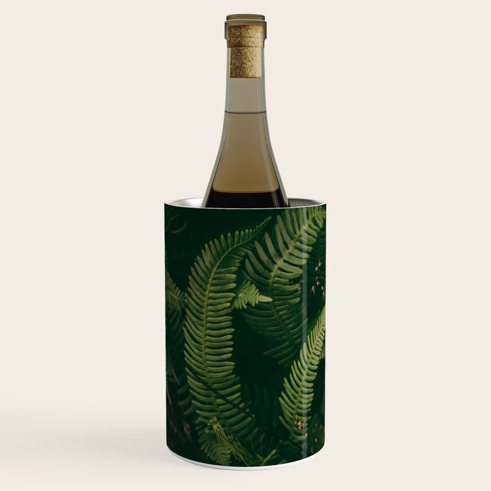 Ferns X Wine Chiller Gallery Image 2