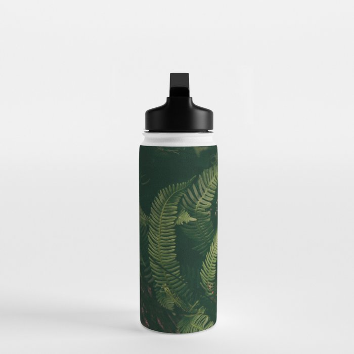 Ferns X Water Bottle Gallery Image 3