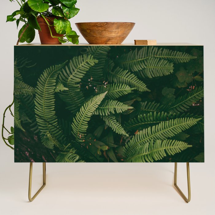 Ferns X Credenza Gallery Image 1