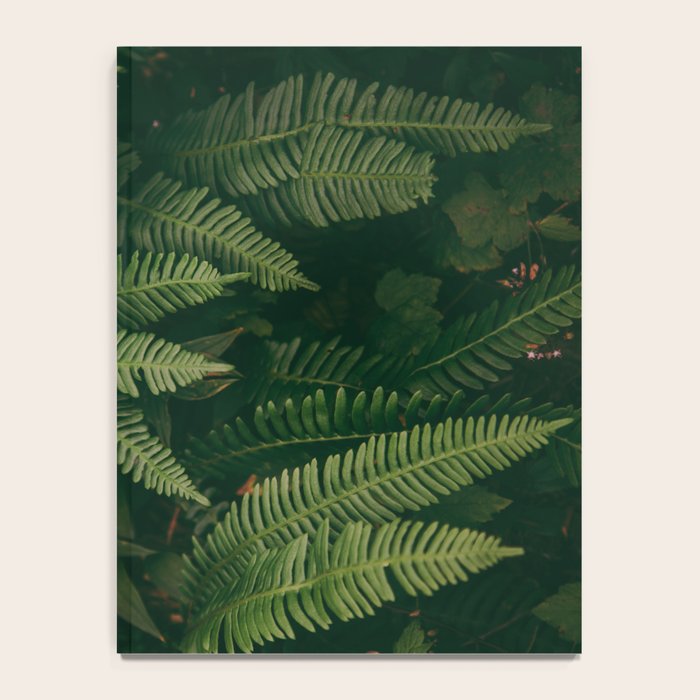 Ferns X Notebook Gallery Image 4