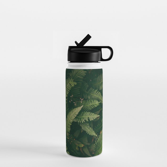 Ferns X Water Bottle Gallery Image 1