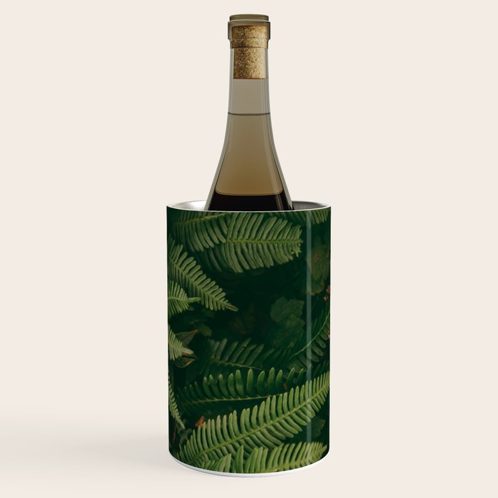 Ferns X Wine Chiller Gallery Image 3