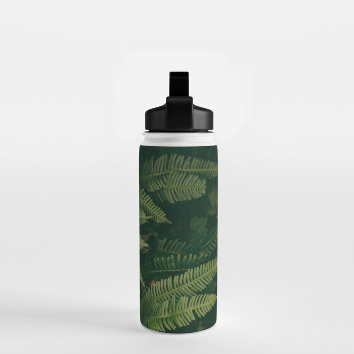 Ferns X Water Bottle Gallery Image 2