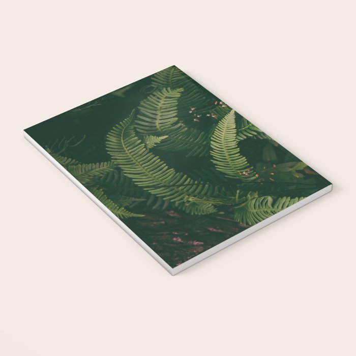 Ferns X Notebook Gallery Image 3
