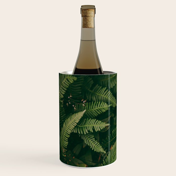 Ferns X Wine Chiller Gallery Image 1
