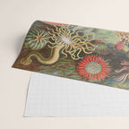 Ernst Haeckel Sea Anemones Vintage Illustration Wrapping Paper Gallery Image 2