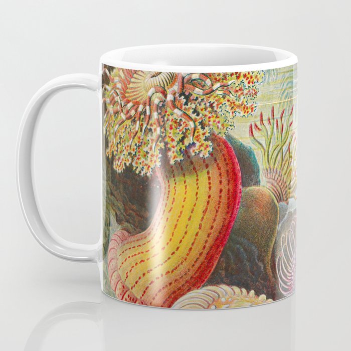 Ernst Haeckel Sea Anemones Vintage Illustration Coffee Mug Gallery Image 3