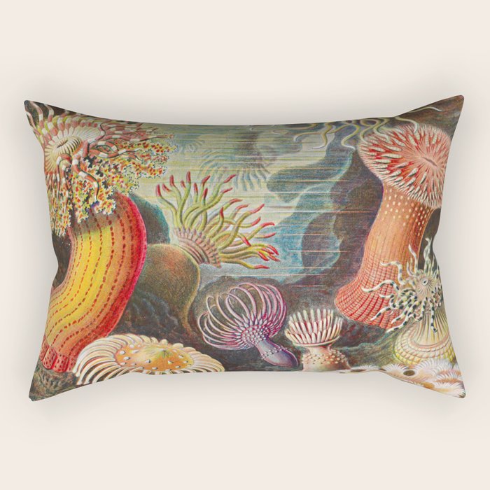 Ernst Haeckel Sea Anemones Vintage Illustration Rectangular Pillow Gallery Image 2