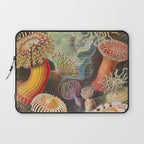 Ernst Haeckel Sea Anemones Vintage Illustration Laptop Sleeve Gallery Image 1